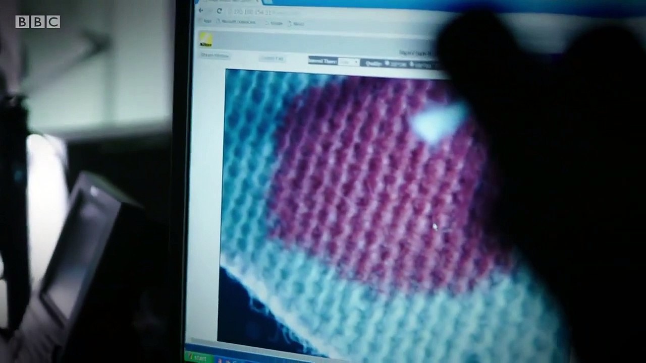 Expert Witness - Se1 - Ep02 Blood Under Paint and Gait HD Watch HD Deutsch