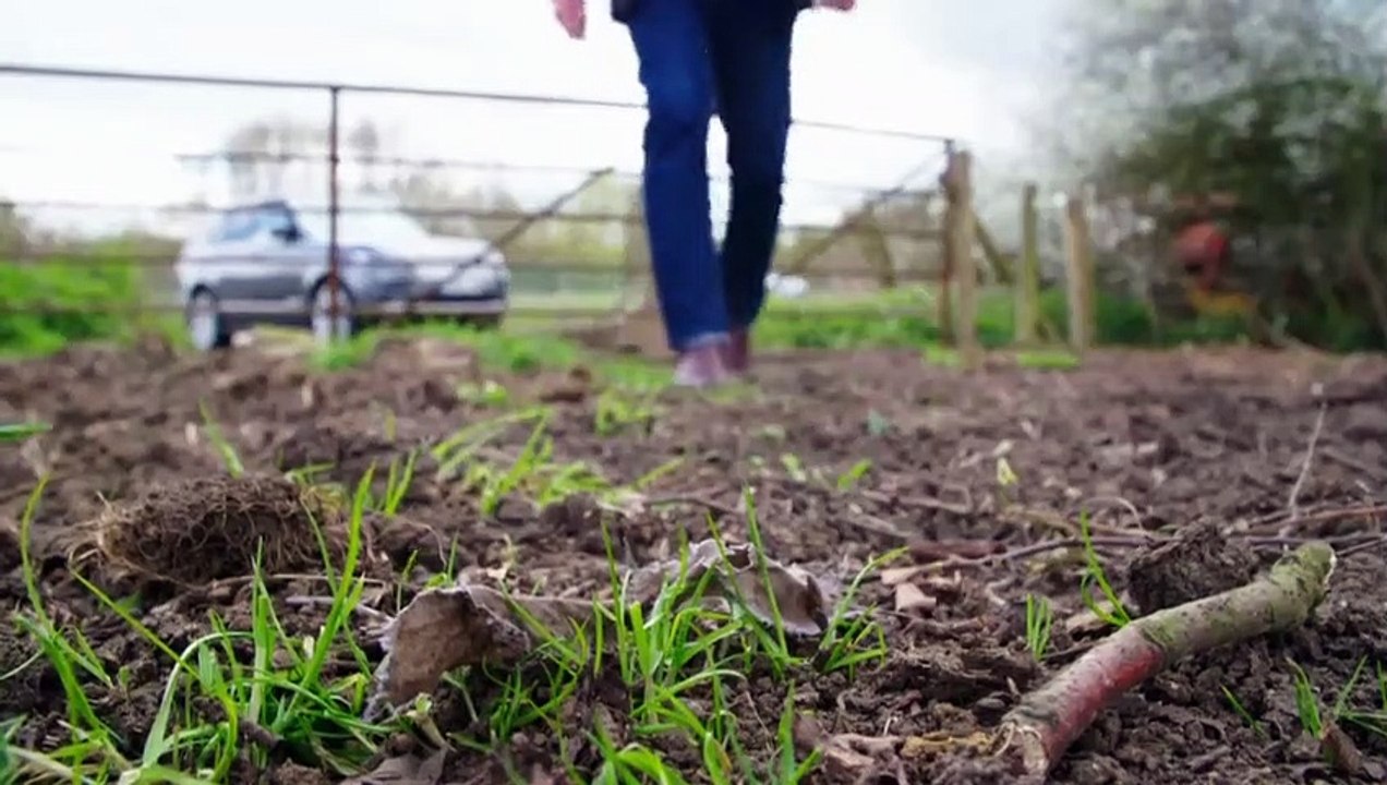 Expert Witness - Se1 - Ep05 Pollen in a Field and Fibres in a Car Crash HD Watch HD Deutsch