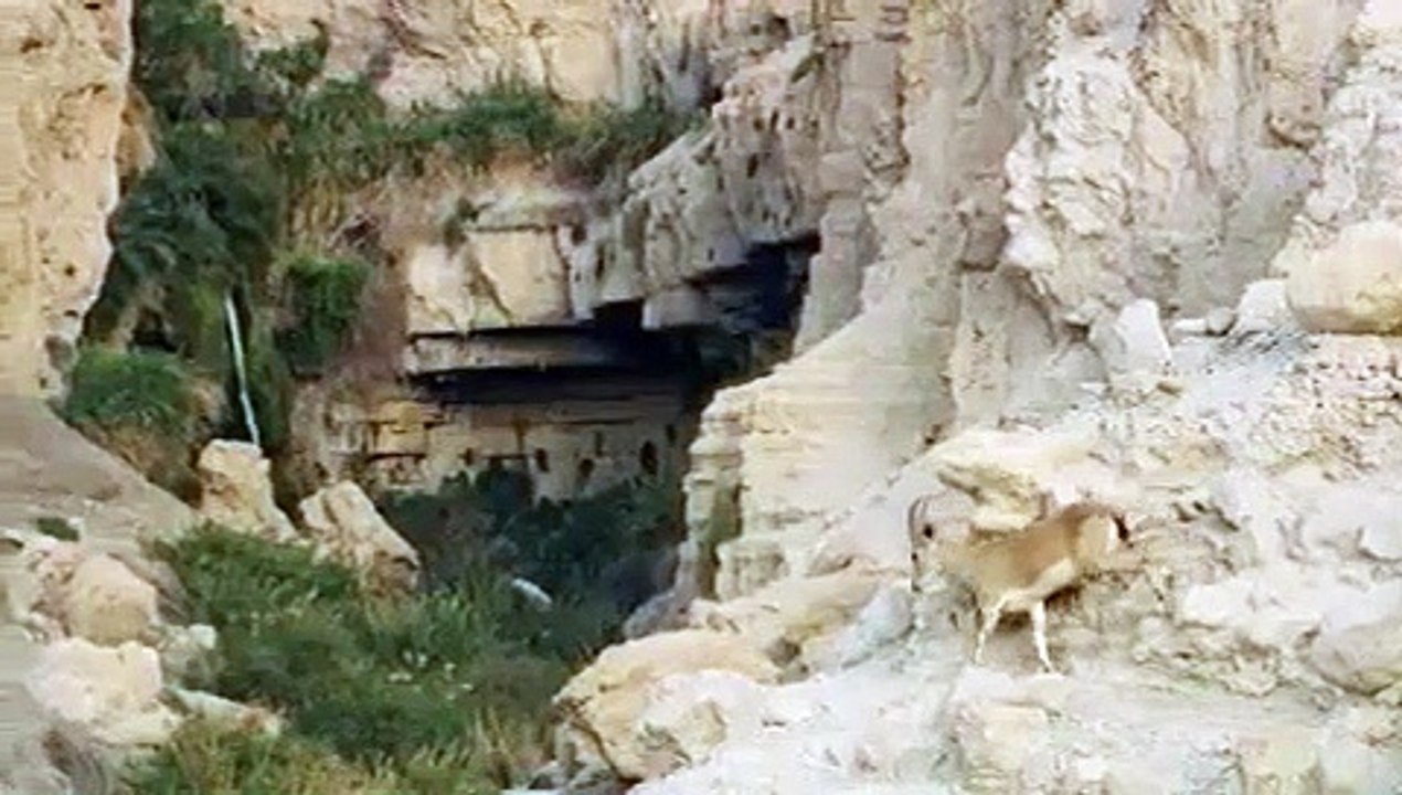 Hostile Planet - Se1 - Ep05 - Deserts HD Watch HD Deutsch