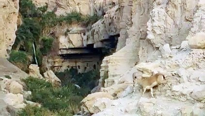 Hostile Planet - Se1 - Ep05 - Deserts HD Watch HD Deutsch