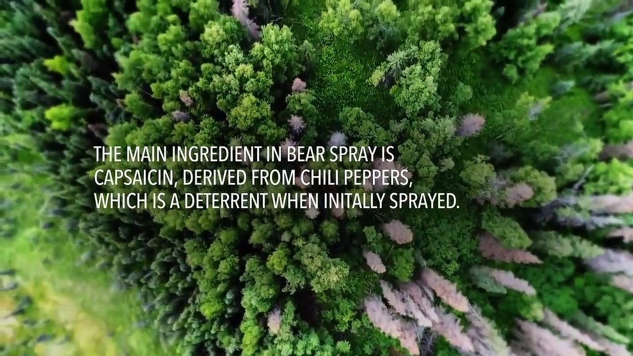 Into Alaska - Se1 - Ep10 HD Watch HD Deutsch