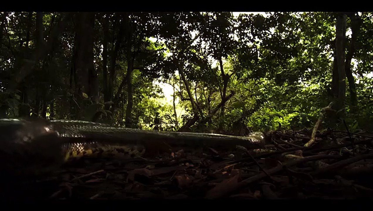 The Chosen One - Ep06 HD Watch HD Deutsch