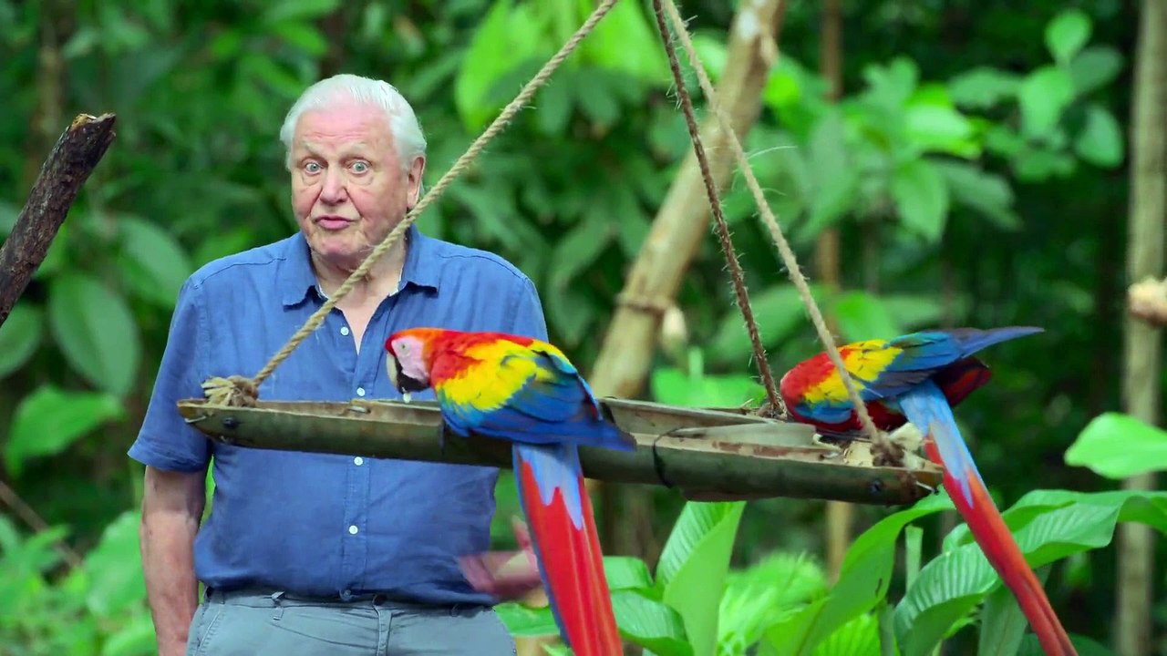 Life in Colour - Se1 - Ep02 HD Watch HD Deutsch