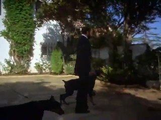Hart to Hart - Se1 - Ep10 HD Watch HD Deutsch