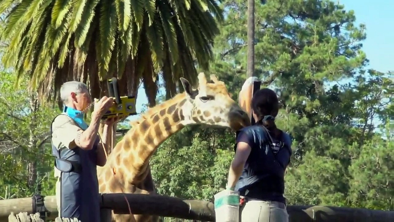 Mega Zoo - Se1 - Ep03 HD Watch HD Deutsch