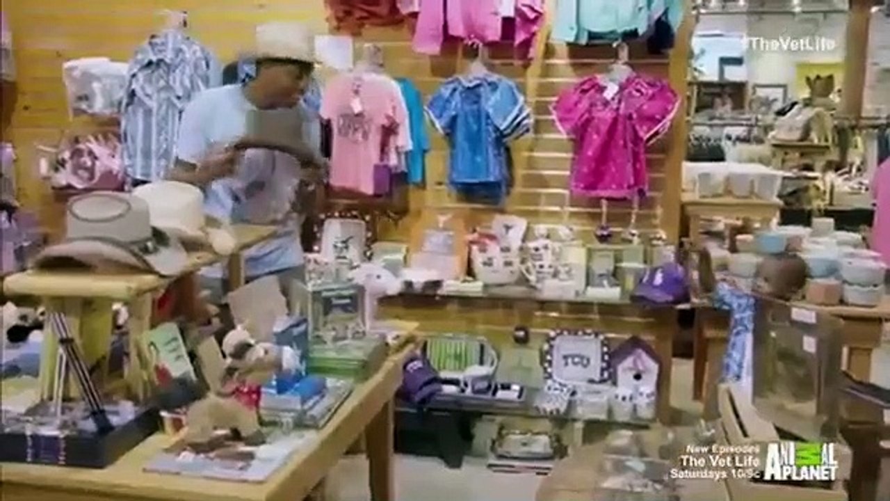 The Vet Life - Se1 - Ep02 HD Watch HD Deutsch