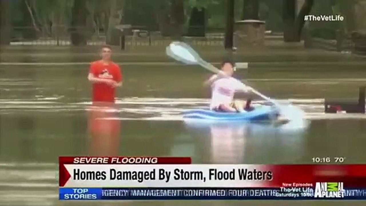 The Vet Life - Se1 - Ep05 HD Watch HD Deutsch