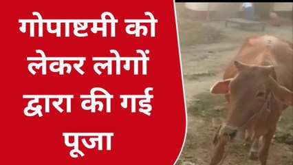 सिवान: प्रखंड के विभिन्न जगहों पर मनाया जा रहा है गोपाष्टमी, जानिए क्या है महत्त्व