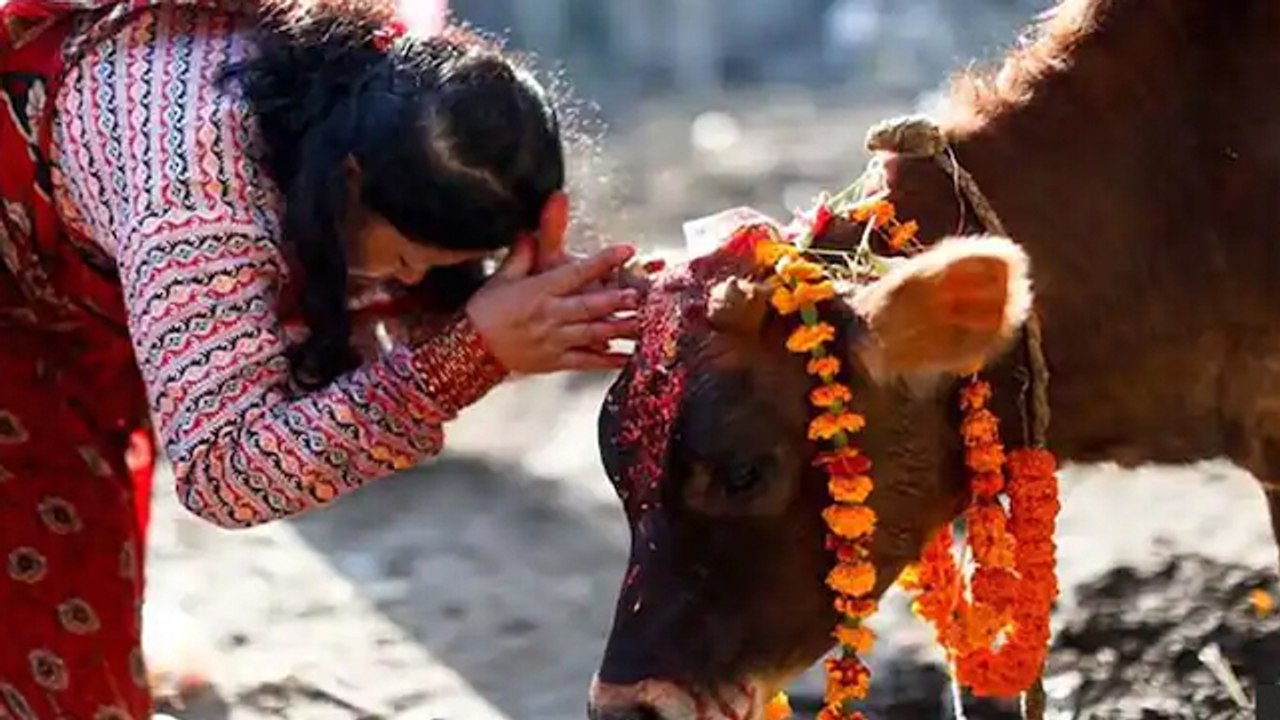 Amla Navami 2022 : आंवला नवमी पूजा विधि । आंवला नवमी की पूजा कैसे करते है । Boldsky *Religious