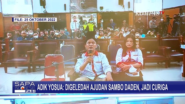 Ajudan Sambo Sempat Lakukan Penggeledahan soal Senjata Api, Adik Brigadir Yosua: Jadi Curiga