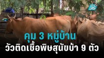 คุม 3 หมู่บ้าน วัวติดเชื้อพิษสุนัขบ้า 9 ตัว|เที่ยงทันข่าว|1 พ.ย. 65