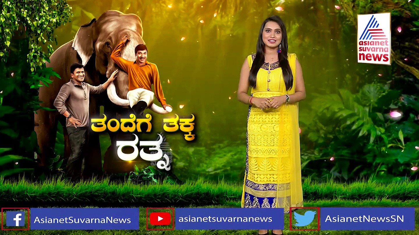 ಇನ್ಮುಂದೆ ‘ಅಪ್ಪು’ ಕರ್ನಾಟಕ ರತ್ನ: ಅಪ್ಪನ ಹಾದಿಯಲ್ಲಿ ಪುತ್ರನ ಸಾಧನೆ
