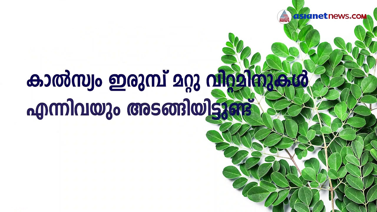 മുരിങ്ങക്കോൽ: ഗർഭിണികൾ ശീലമാക്കേണ്ട പച്ചക്കറി