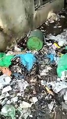 रेलवे के सफाई के अपने दावे, हकीकत कुछ अलग बयां हो रही