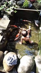 Anak kecil lagi berenang sama ikan koi