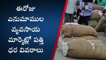 వరంగల్ ఈస్ట్: పడిపోతున్న తెల్ల బంగారం ధర