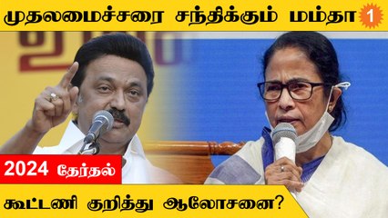 CM Stalin - Mamta Banarjee Meet | BJP-க்கு எதிரான கூட்டணி குறித்து ஆலோசனை