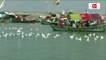 Prayagraj attracts tourists as Siberian birds flock to Sangam