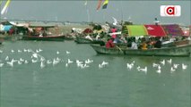 Prayagraj attracts tourists as Siberian birds flock to Sangam