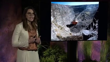 TED Talk - The Blind Spots of the Green Energy Transition