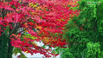 HUZURA DOGRU 20221031