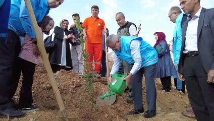 TDV yanan ormanlık alanı yeşertmek için 11 bin fidan dikti