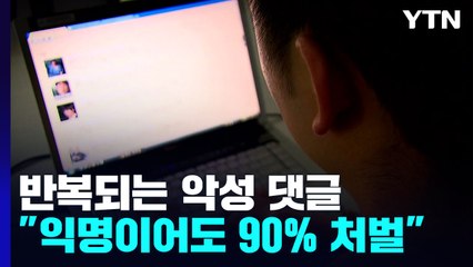 "참사 희생자 향한 악성 댓글, 90% 처벌받아" / YTN