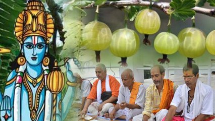 Amla Navami 2022: आंवला नवमी कथा | Amla Navami Story In Hindi | Boldsky *Religious
