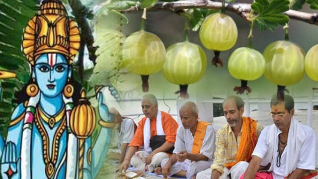 Amla Navami 2022: आंवला नवमी कथा | Amla Navami Story In Hindi | Boldsky *Religious