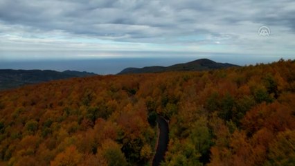 Kastamonu sonbaharın bütün renklerini yansıtıyor