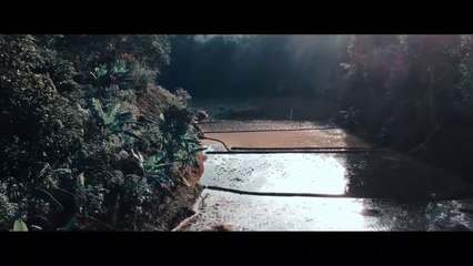 Medley Lagu Daerah | WONDERFUL INDONESIA
