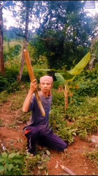 Kumpulan video lucu bikin ngakak sakit perut terbaru funny video.