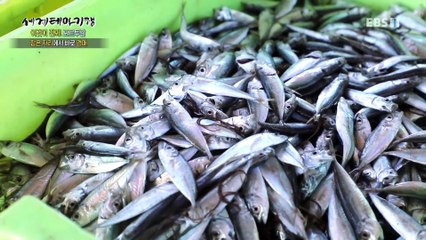 세계테마기행 - 이것이 진짜! 포르투갈- 걸어야 볼 수 있는, 포르투_#002