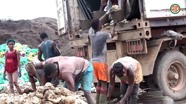 Région- Aboisso / Le conseil Hévéa-palmier à huile visite des sites dans le Sud-Comoé