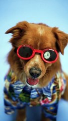 pexels-rodnae-productions-7515918