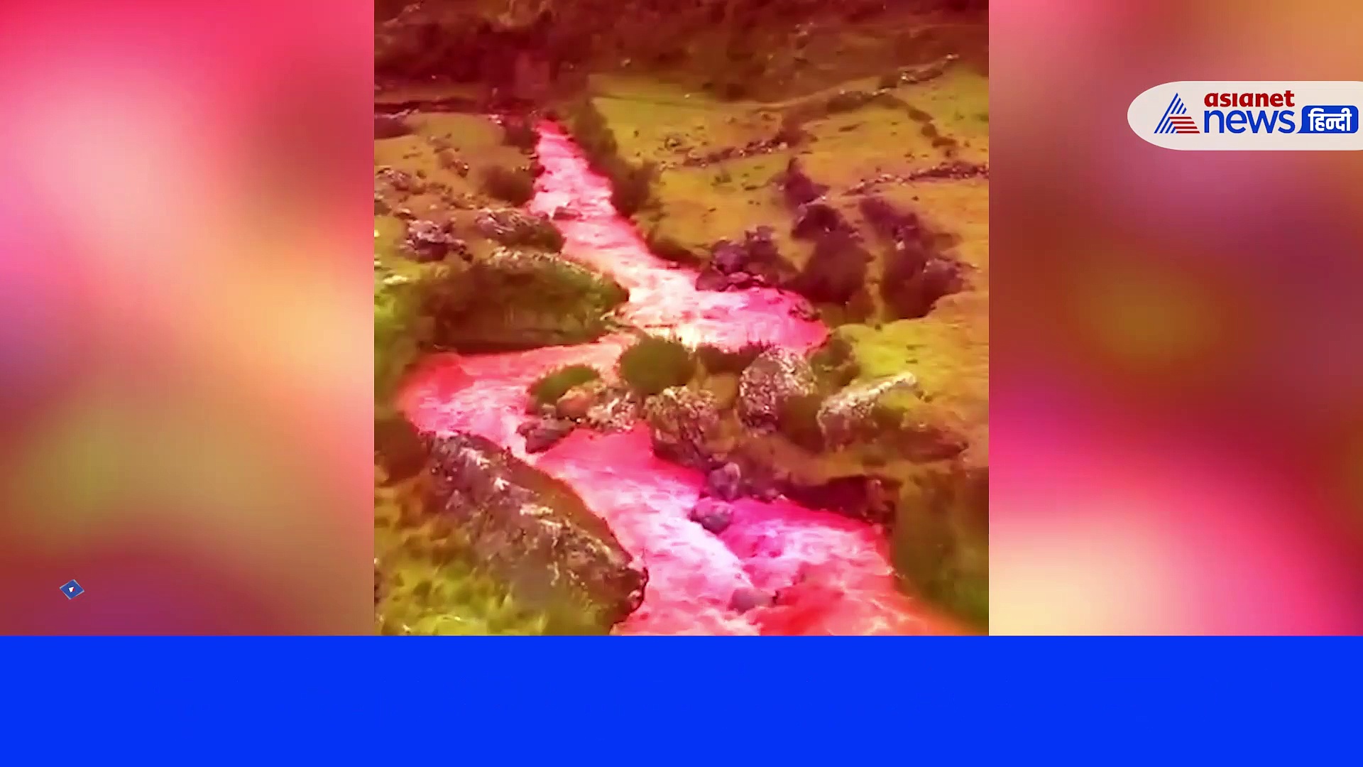 Video: कार में बैठ रही महिला को घसीटकर ले गया Tiger, बह रही खून की नदी को देख हैरान हुए लोग 