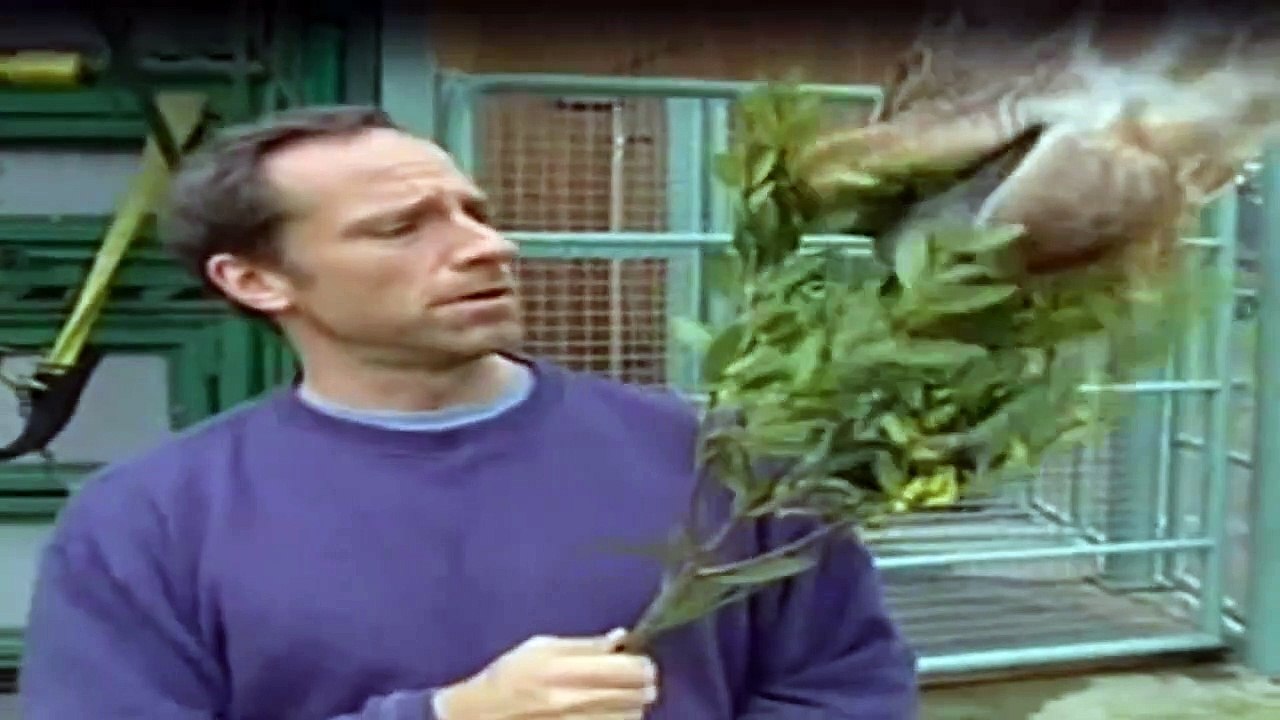 Dirty Jobs - Arbeit, die keiner machen will Staffel 1 Folge 12 HD Deutsch