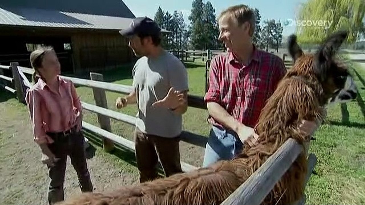 Dirty Jobs - Arbeit, die keiner machen will Staffel 2 Folge 30 HD Deutsch