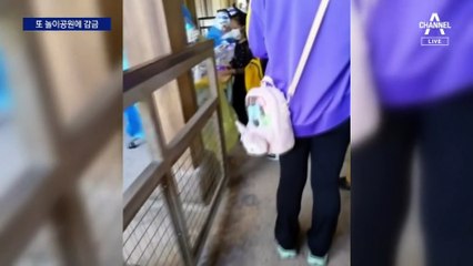 상하이 디즈니랜드, 방문객 1명 감염에…또 ‘놀이공원 감금’