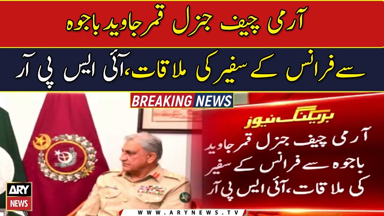 Ambassador of France meeting with Army Chief Ge...