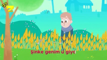 Zarok TV -  STRANA BARAN