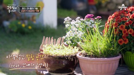 달달한 행복을 충전 할 수 있는 함안 특산물 곶감 디저트 '버터 곶감'