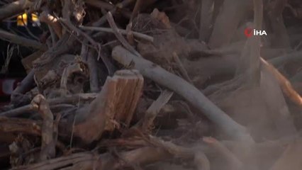 Yunanistan'da oduna talep arttı