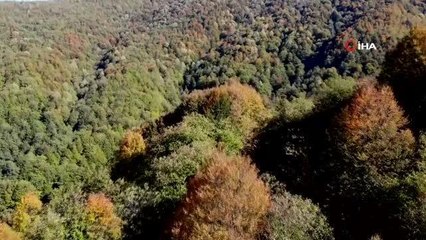 Sakarya'da sonbahar güzelliği