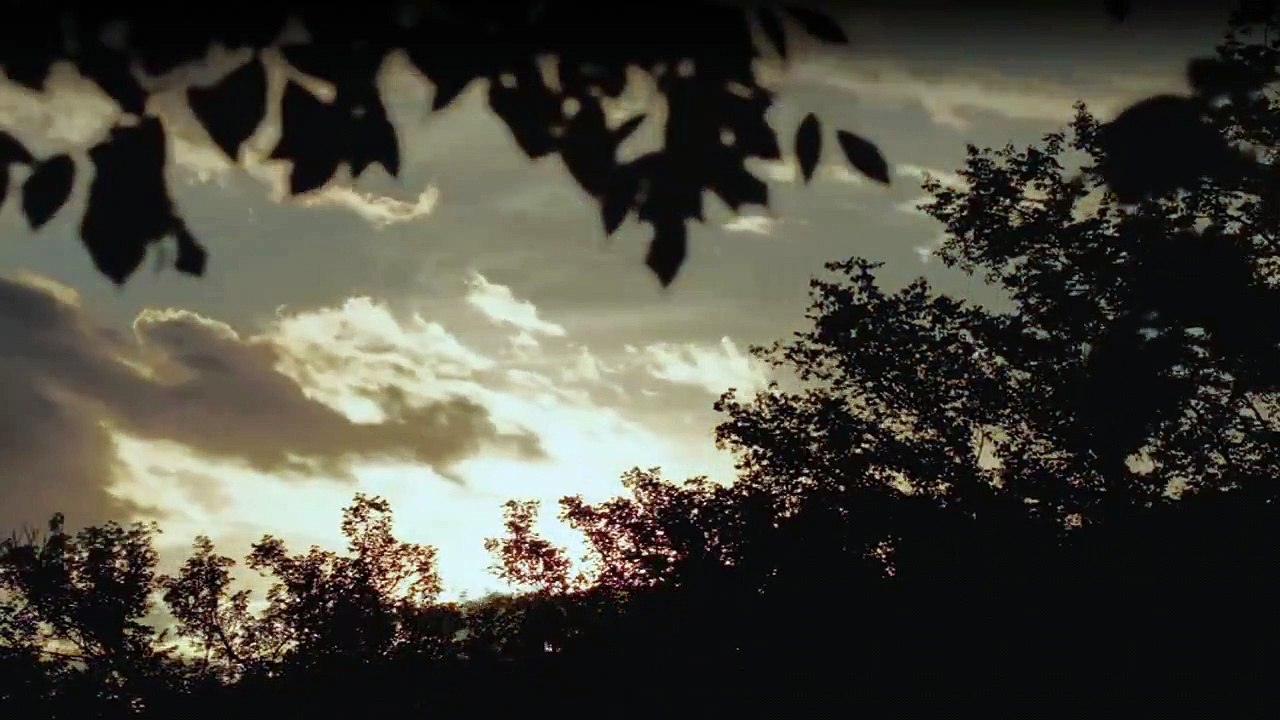 Wenn Tiere angreifen Staffel 1 Folge 4 HD Deutsch