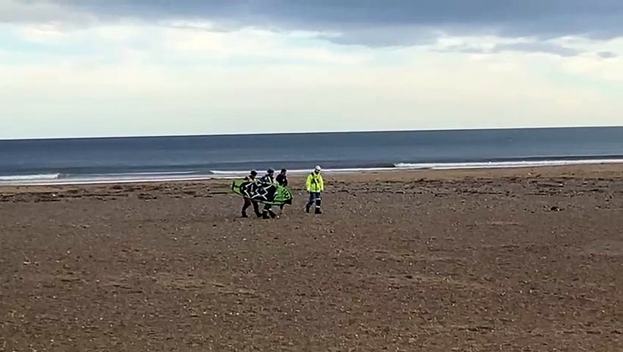 Paddle-boarder and her pet Chihuahua rescued by Harlepool Lifeboat crew after being blown out to sea
