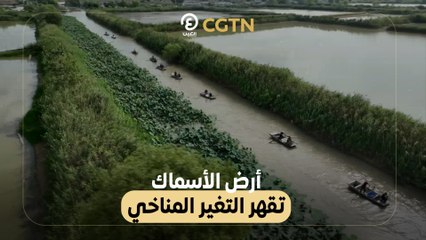 أرض الأسماك تقهر التغير المناخي