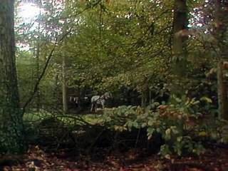 Die dreibeinigen Herrscher Staffel 1 Folge 11 HD Deutsch