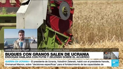 Informe desde Estambul: presidente turco hablará con Putin y Zelenski sobre el acuerdo de granos