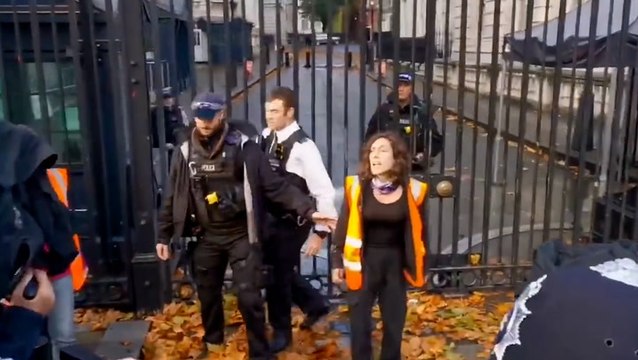 Just Stop Oil activists attempt to scale Downing Street gates